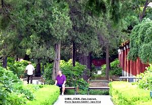 Pekin Jingshan 52
